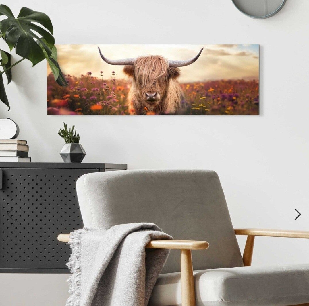 Schilderij Hooglander wei xl