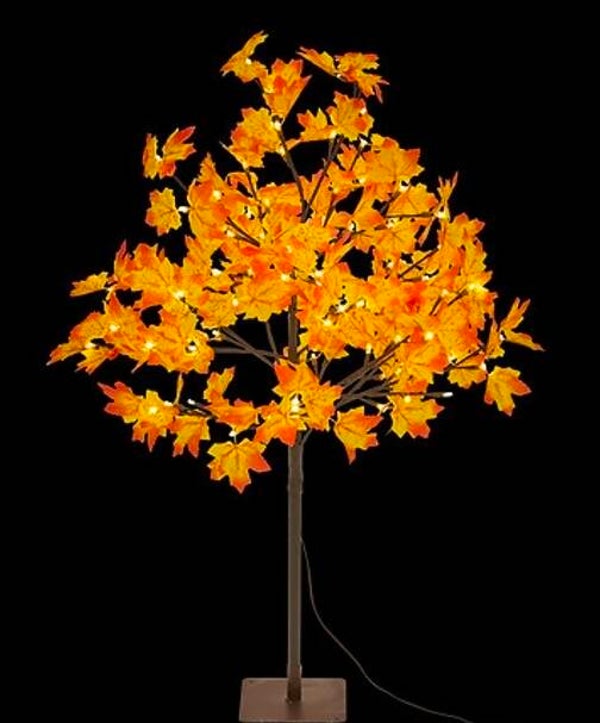 herfstboom outdoor