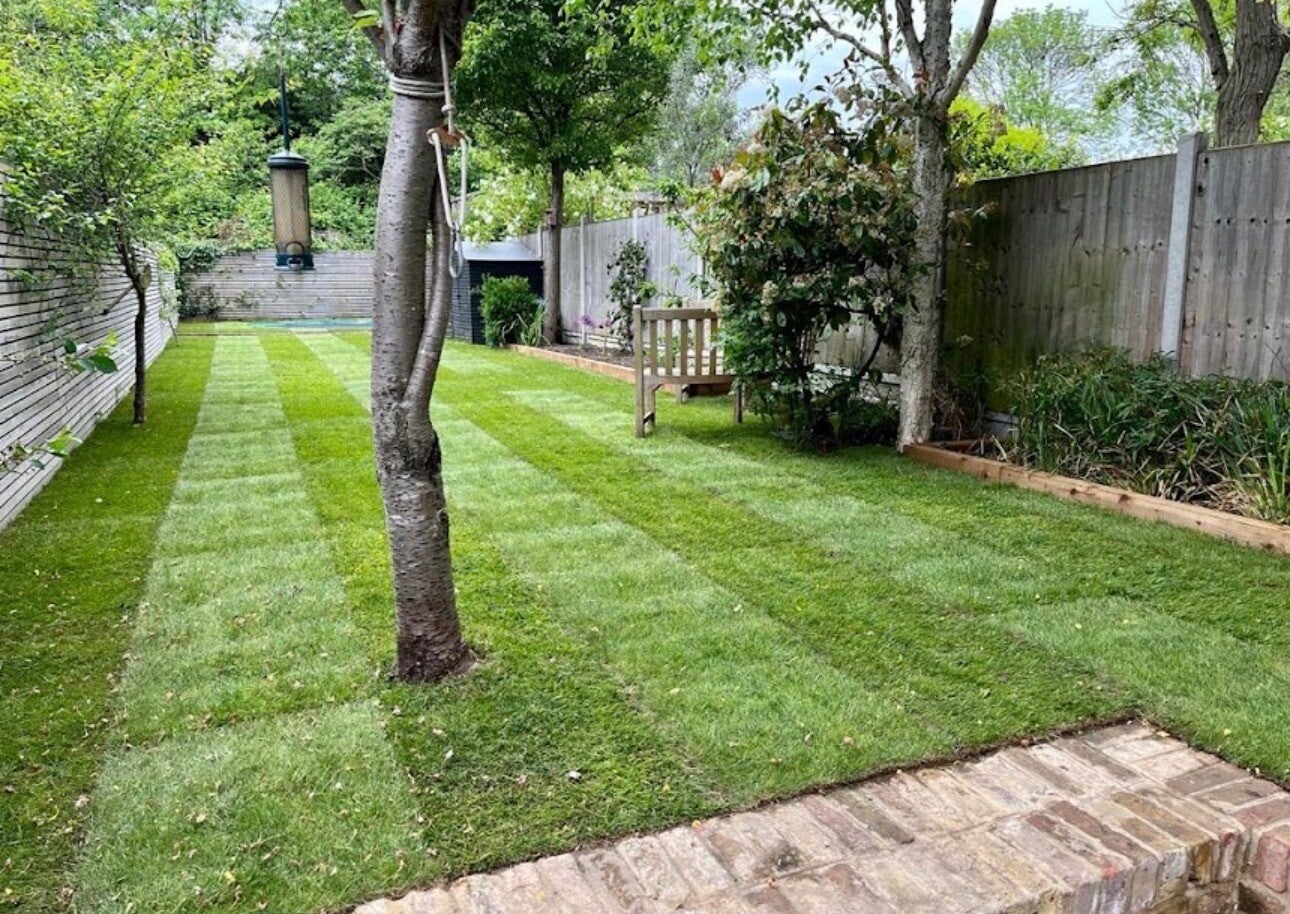 Freshly laid natural turf lawn installation in Almondsbury⁠