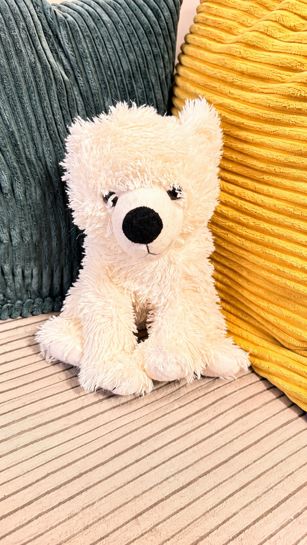 Kleiner Eisbär