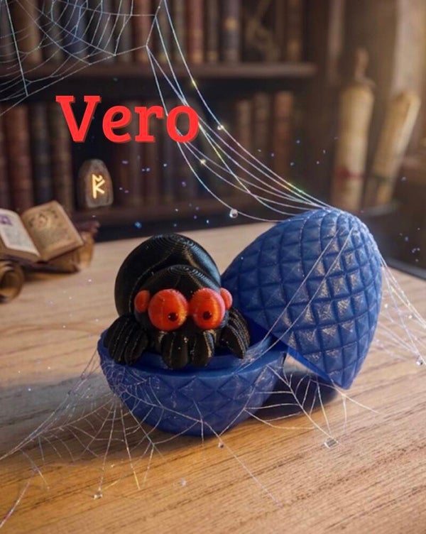 Spinne Vero mit Ei