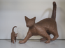 Katten in Beweging