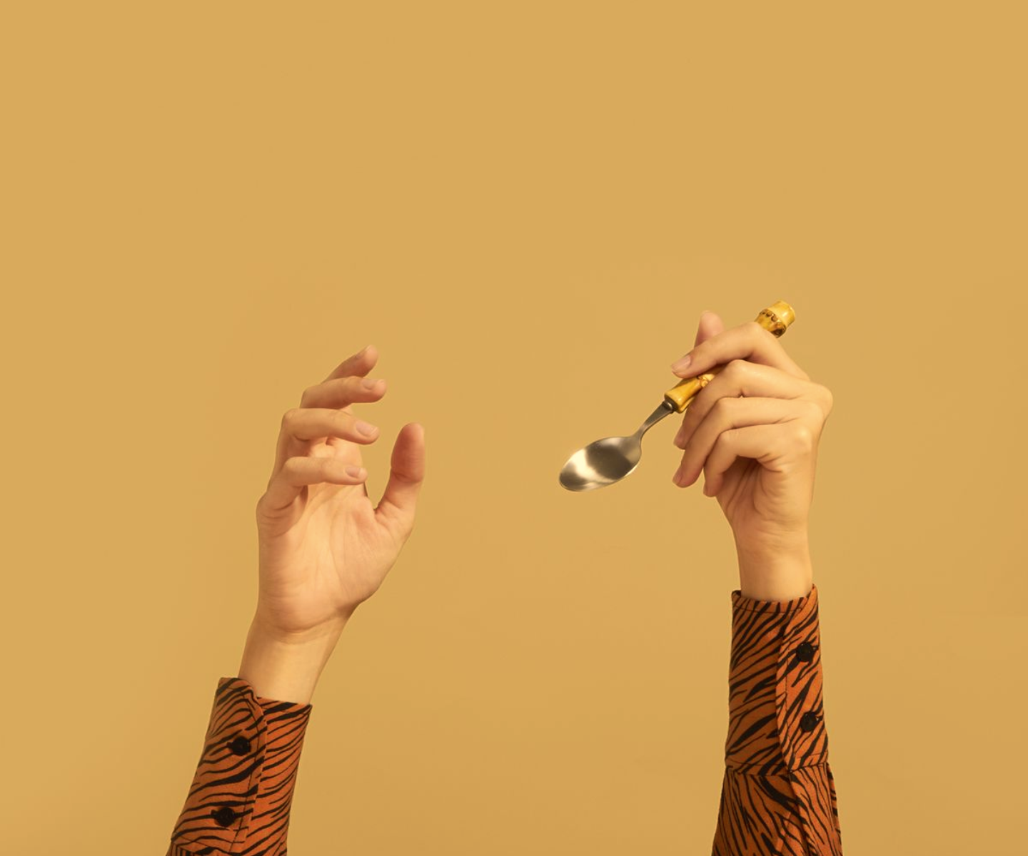 Planificador de comidas