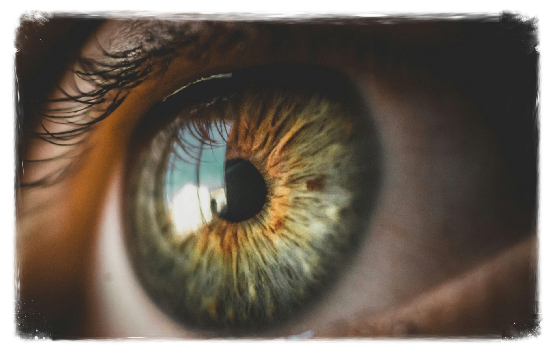 E.M.D.R. IMO EMDR RITMO DHE RMA Mouvements oculaires