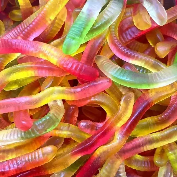 Trolli Vers de Terre - 1 kg