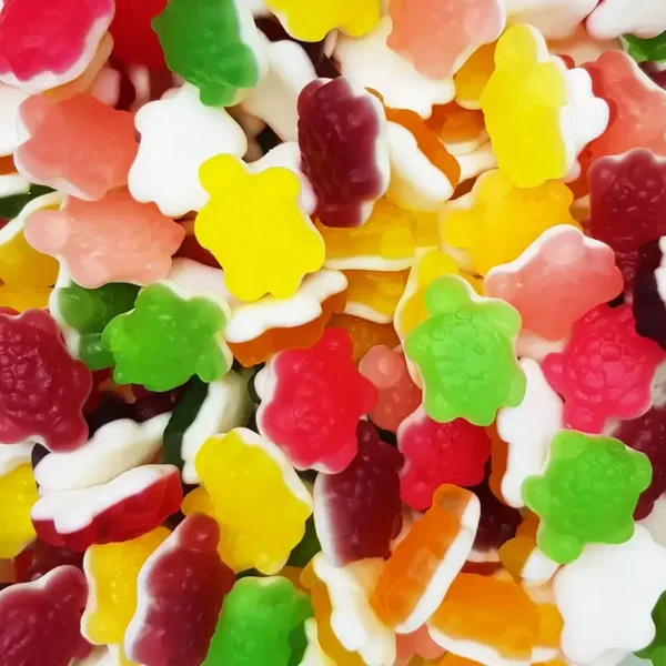 Frisia Tortue - 1,5 kg