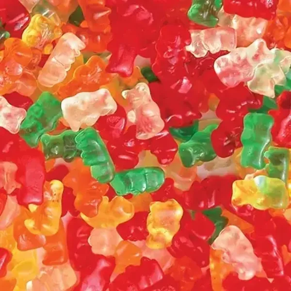 Frisia Ourson Sans Sucre - 1,5 kg