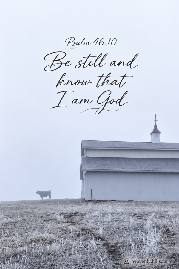 Psalm 46:10
