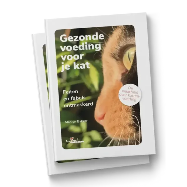 Gezonde voeding voor je kat