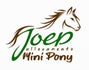 Mini pony Joep