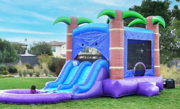 Purple dream! With double water slides!