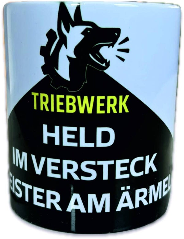Held im Versteck Meister am Ärmel