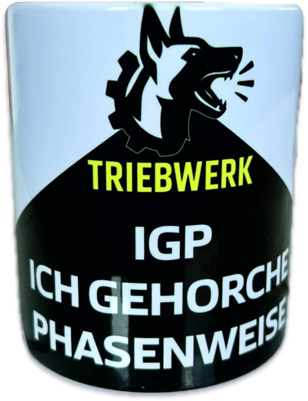 IGP- Ich Gehorche Phasenweise