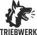 Triebwerk