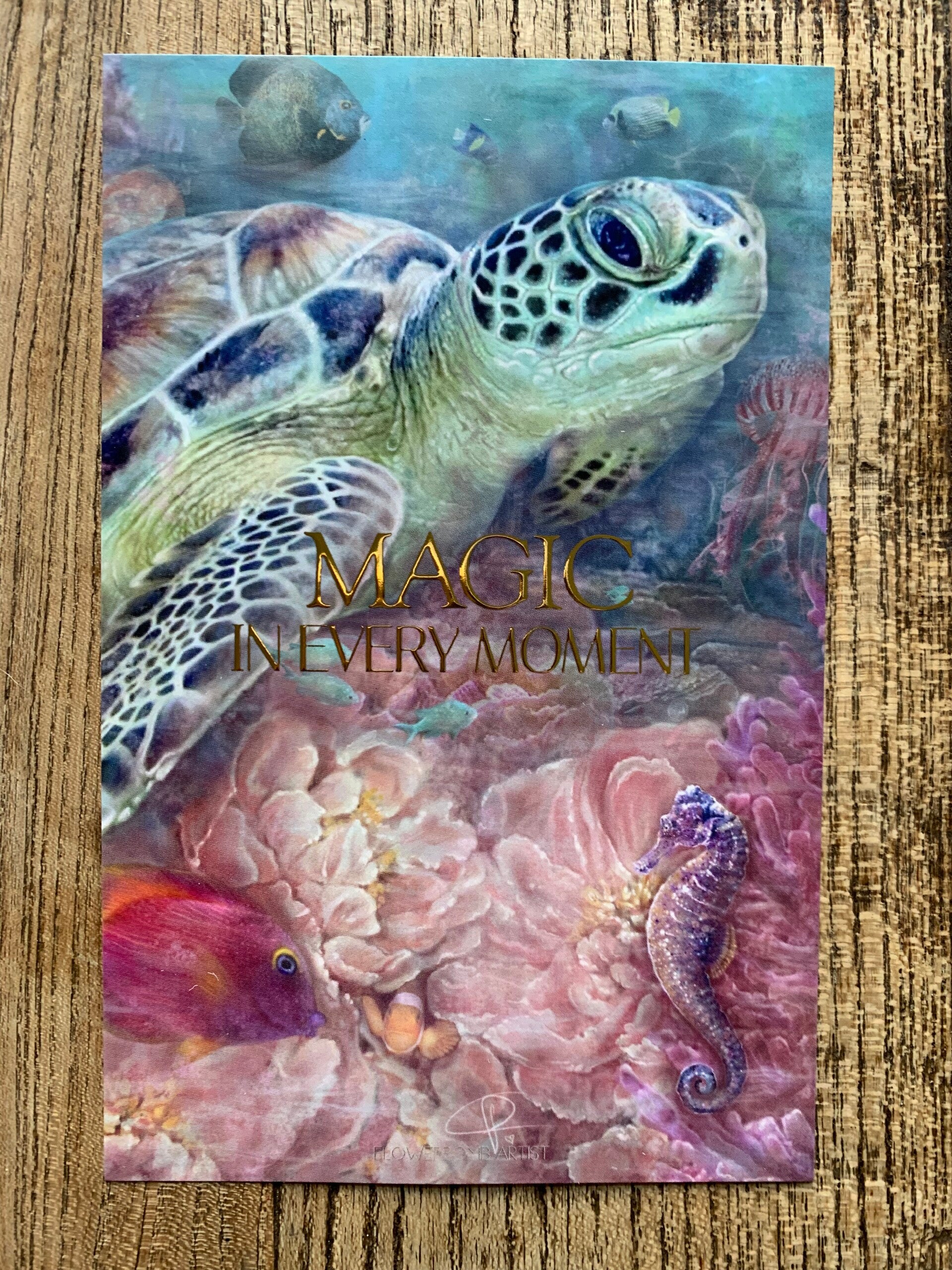 MYSTIC WATER - CARD COLLECTION