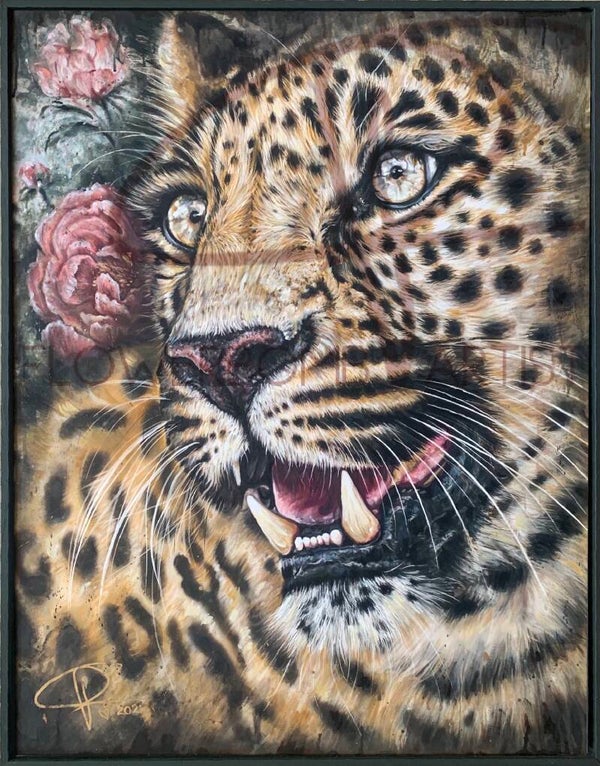 EYE’S OF A PREDATOR