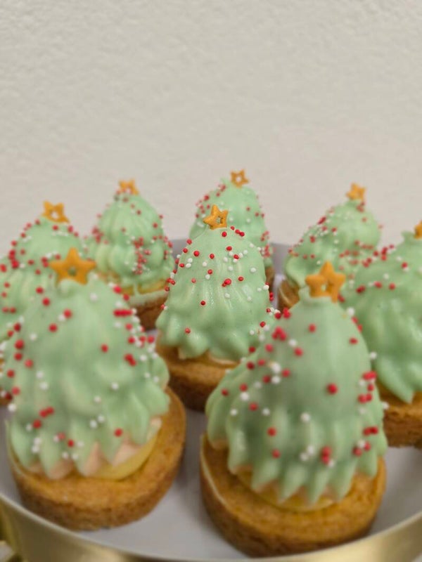 Winterboompjes Kerst