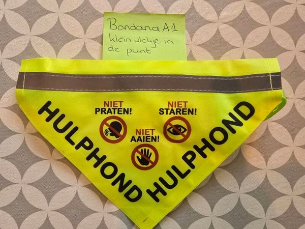 Bandana A1
