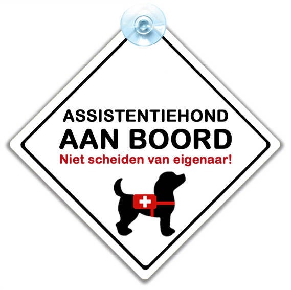 assistentiehond auto