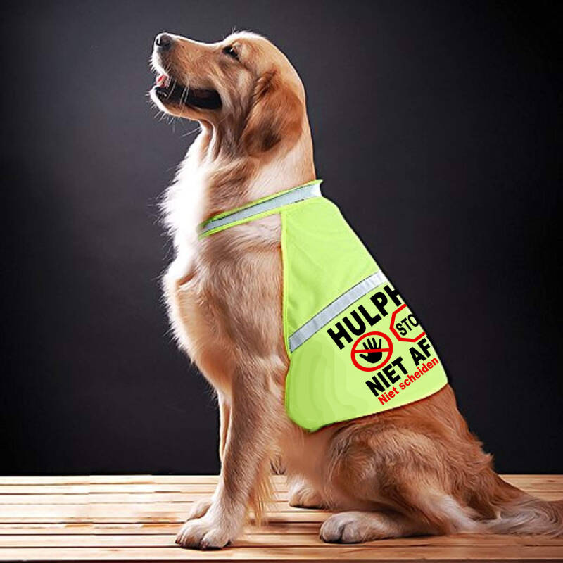 Hulphond Vest Budget Oyadi nl hulphond-vest-budget-oyadi-nl