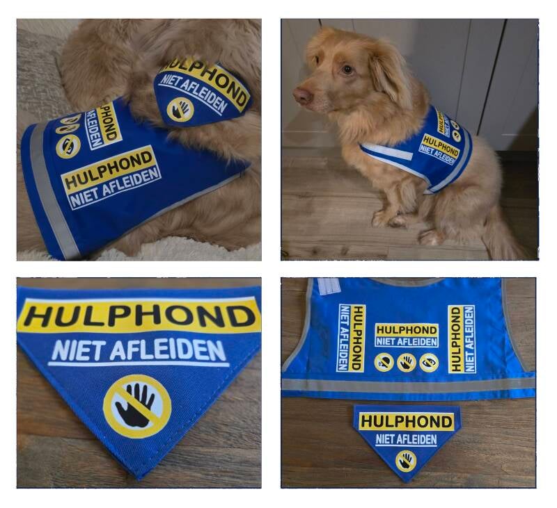 Hulphondvest blauw assistentiehondvest blauw