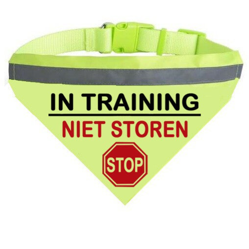 Basis bandana in training niet storen