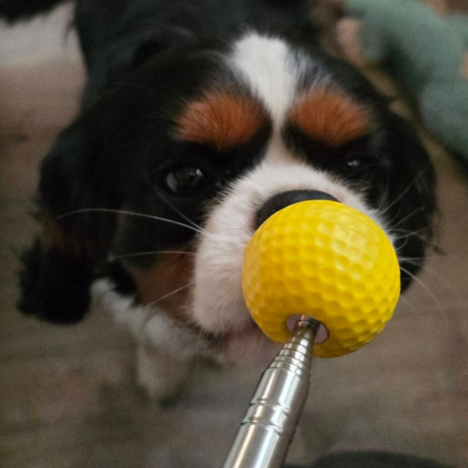 Target stick