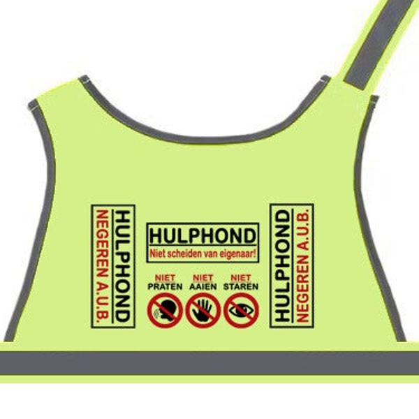 2026 Basis hulphondvest geel