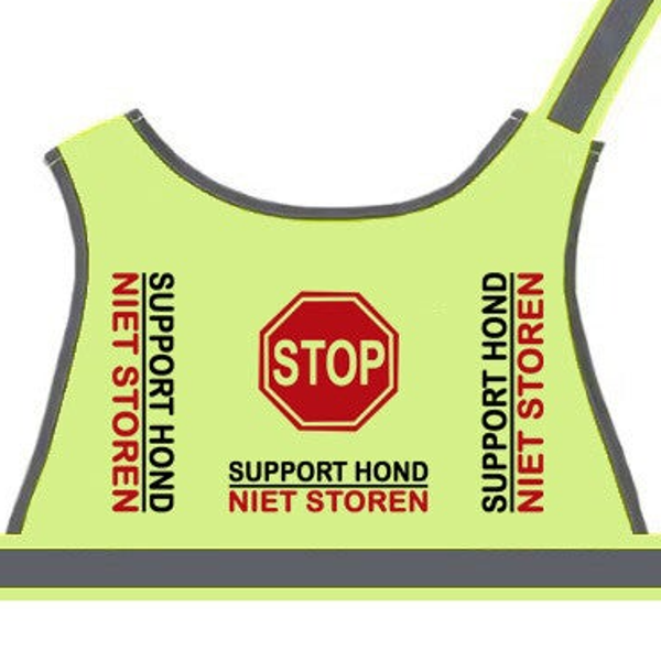 Basisvest supporthond
