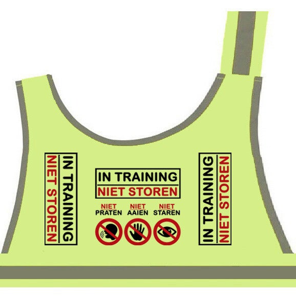 Vest in training