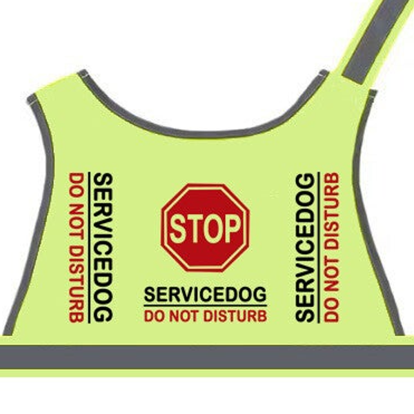 Basisvest servicedog Engelstalig
