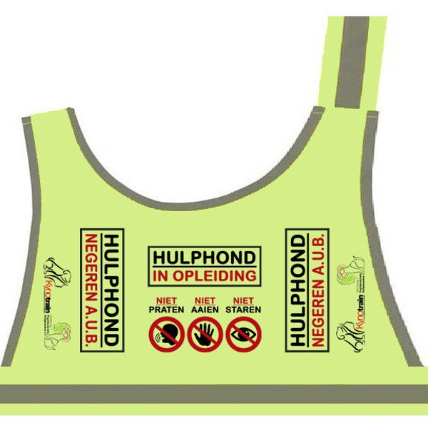 KYNOTRAIN Hulphondvest IN OPLEIDING