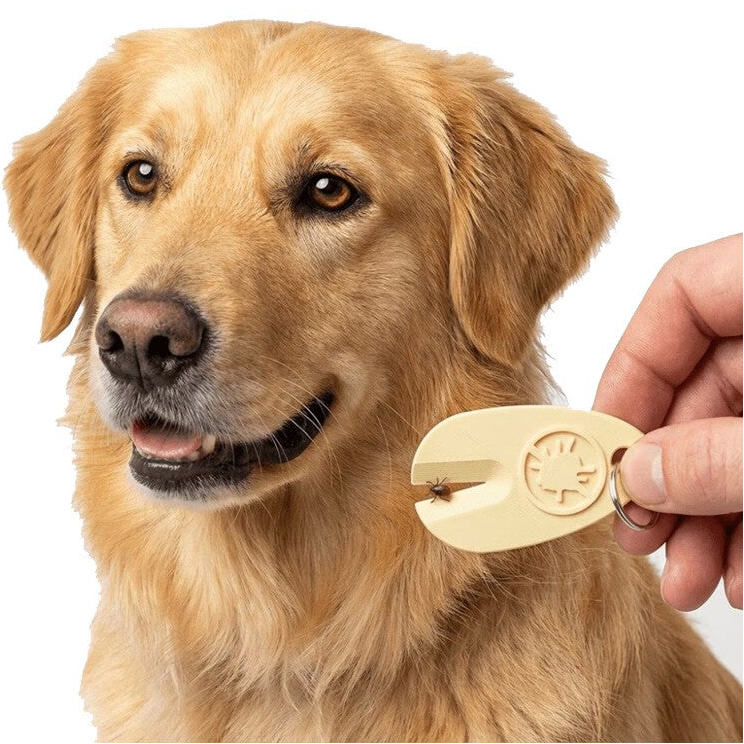 tekentang teken verwijderaar