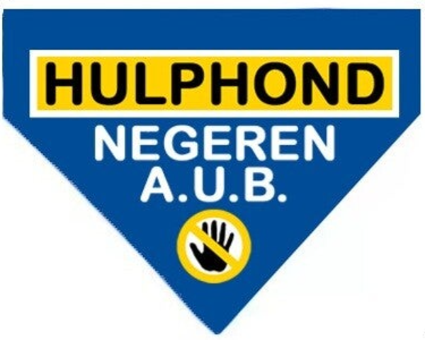 2026 Bandana blauw XL Hulphond (slide over)