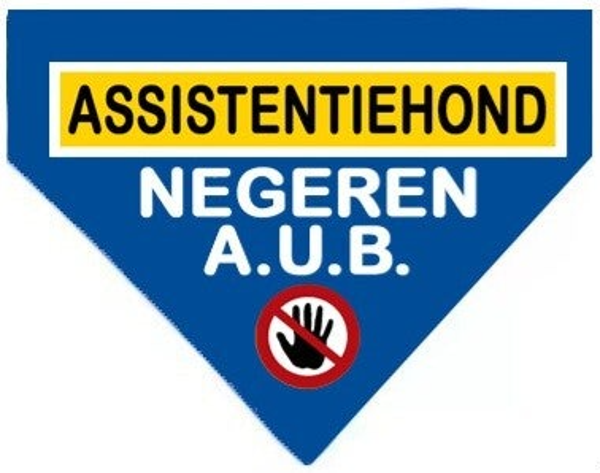 2026 Bandana XL assistentiehond (slide over)