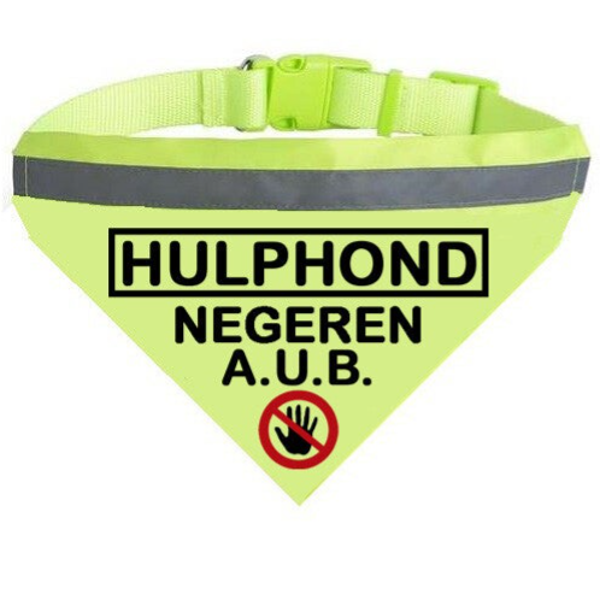 2026 bandana geel