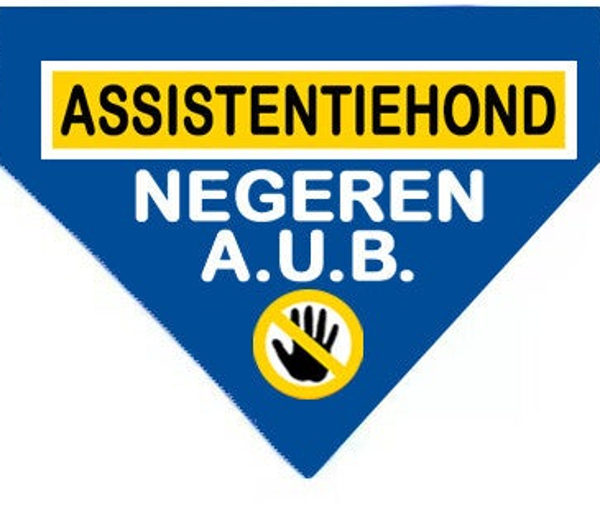 2026 Bandana XL assistentiehond (slide over)