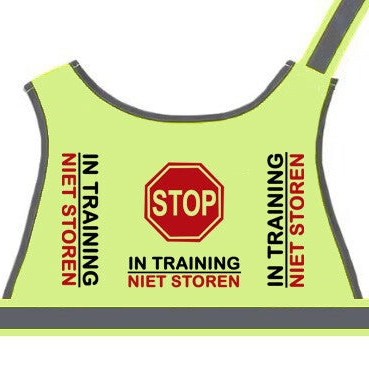 hond in training vest