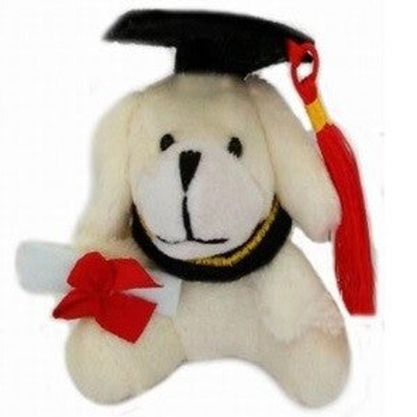 Sleutelhanger hondje met diploma