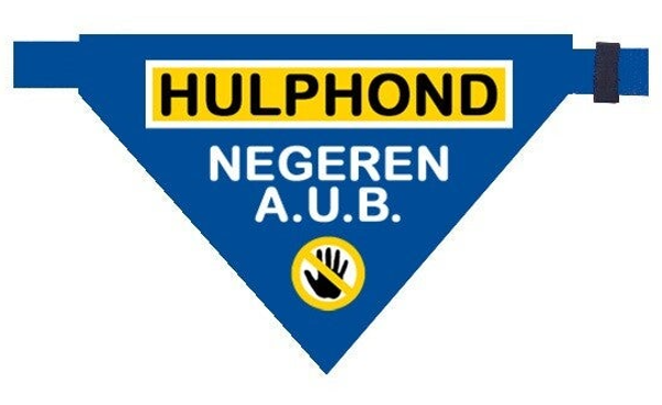 2026 Bandana blauw