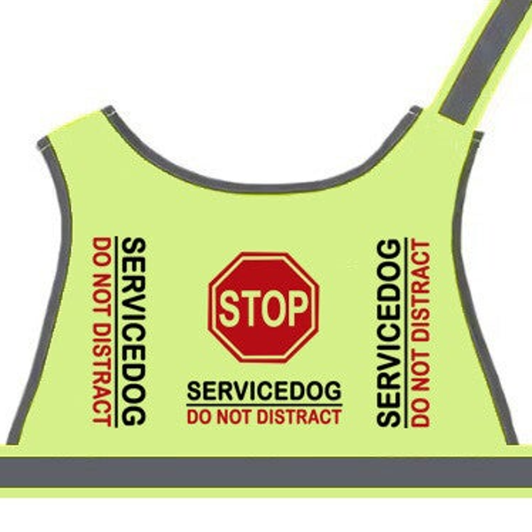 Basis vest servicedog Engelstalig