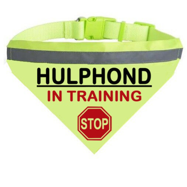 Basis bandana hulphond in training