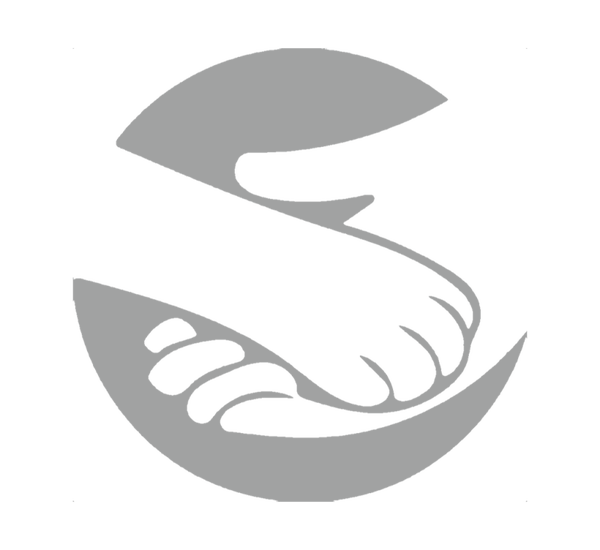 Label Kynotrain/stichting