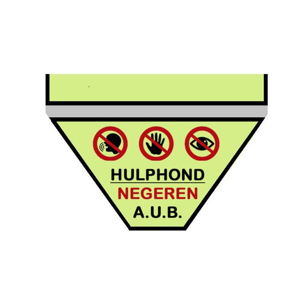 Luxe Bandana Custom made