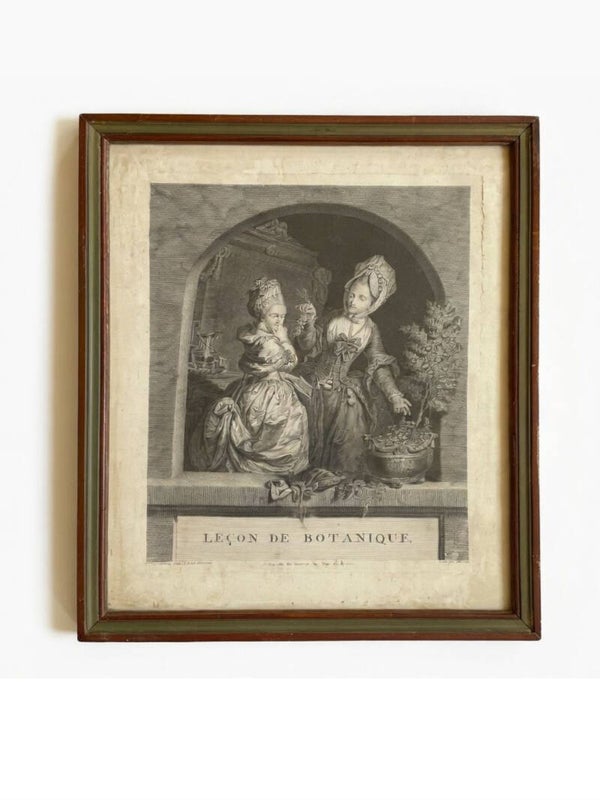 Leçon Botanique