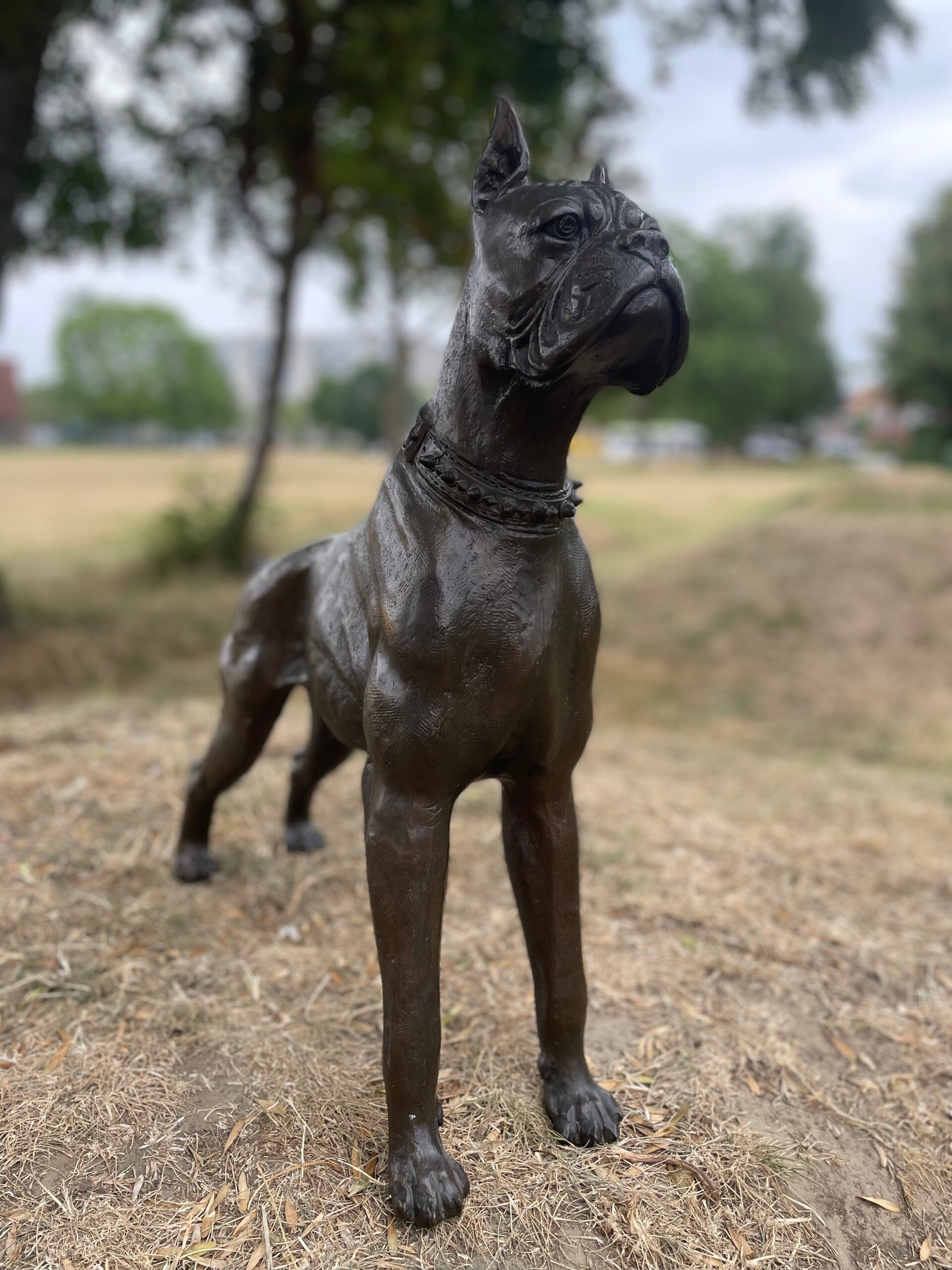 Metal Boxer