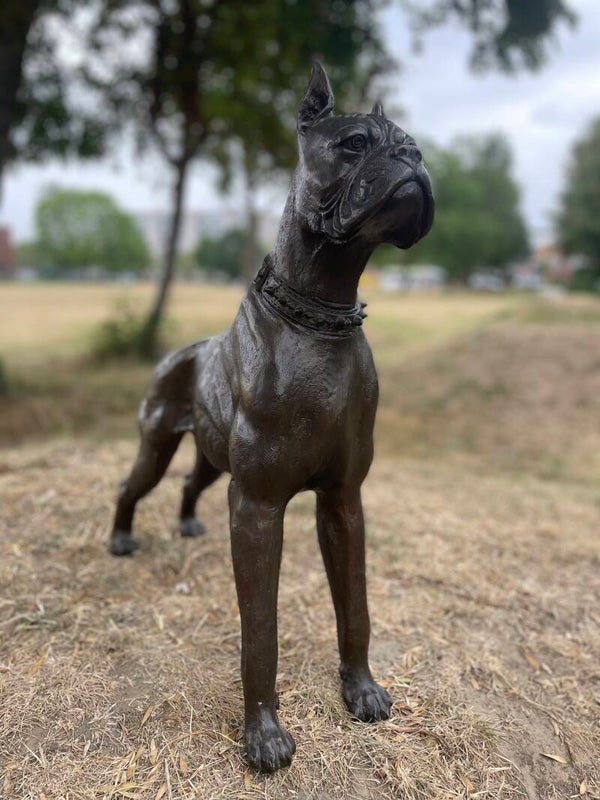 Metal Boxer