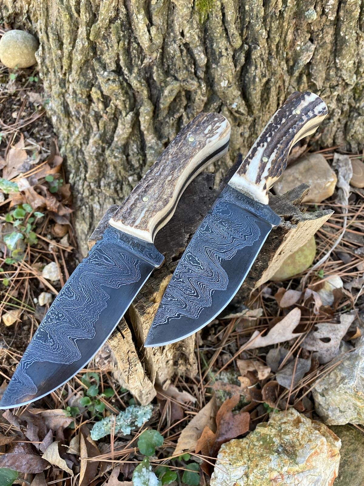 Devil's Backbone Knives and Designs, LLC