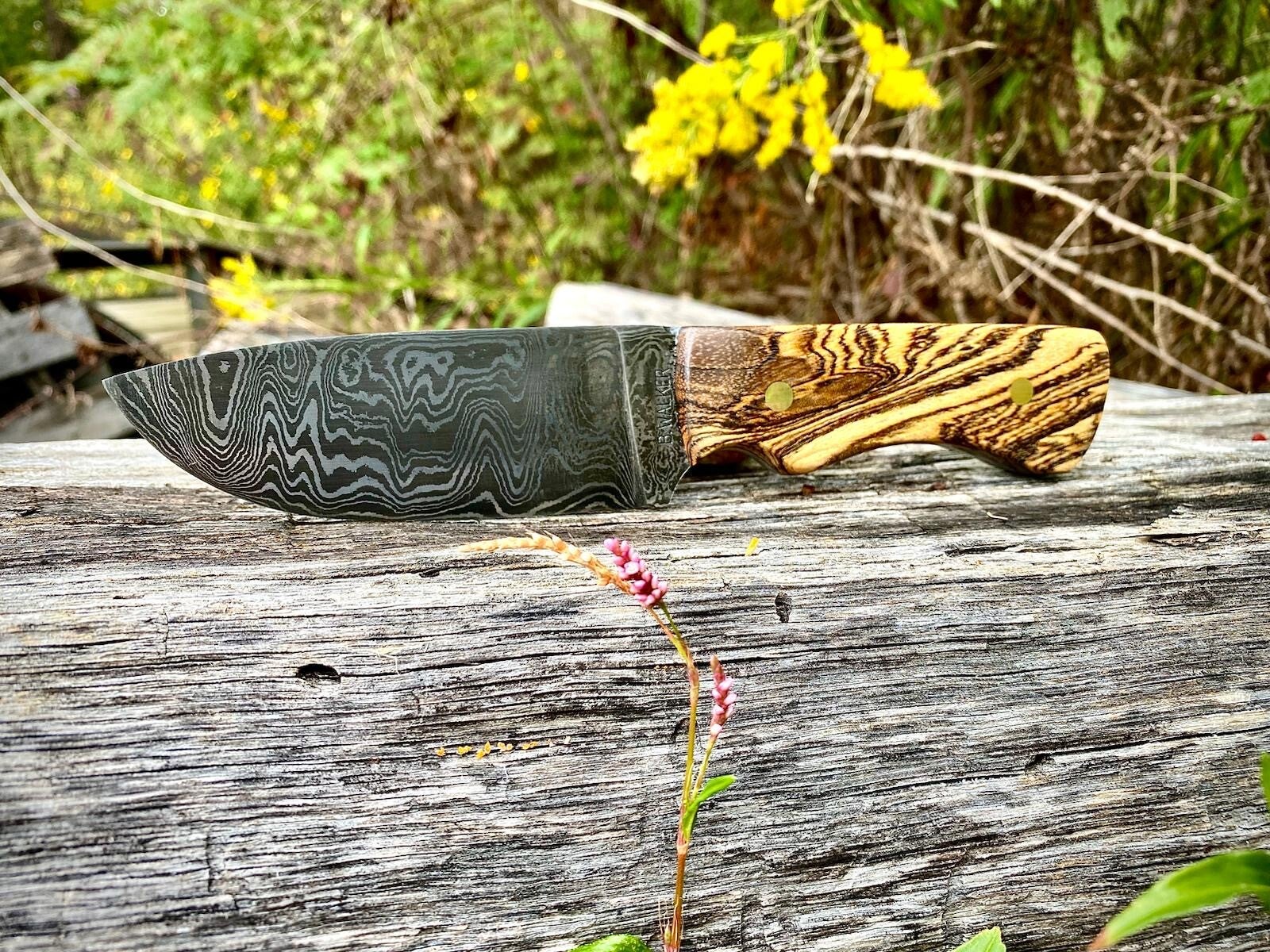 Devil's Backbone Knives and Designs, LLC