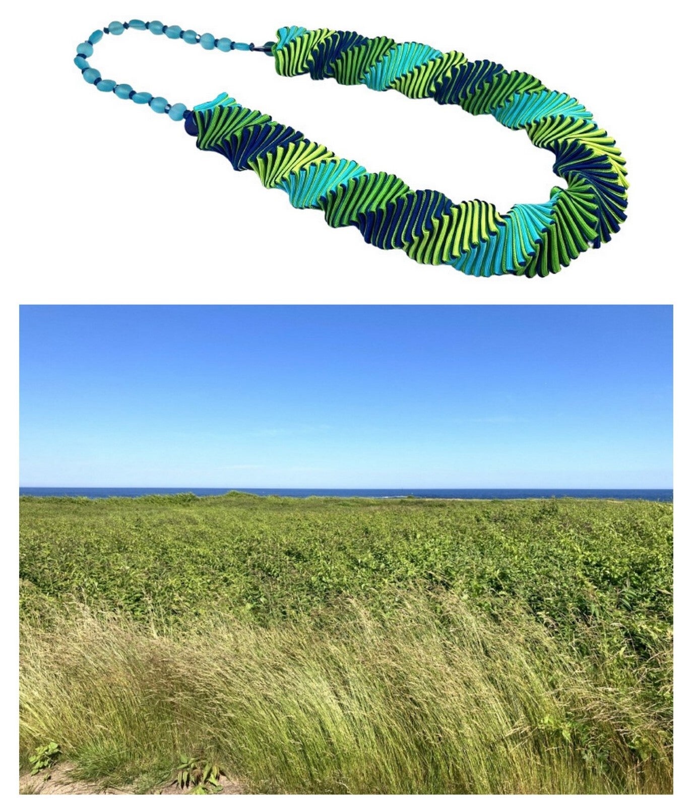 Maine Coast Meadow